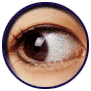eye in hole.gif (16684 bytes)